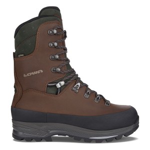 Brown Men Lowa Gtx Evo Extreme Travel Shoes | 5904132-SH