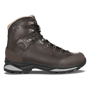 Dark Brown Men Lowa Camino Evo Gtx Fg Travel Shoes | 5029871-HR